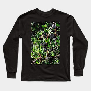 Tasmanian pepper berries Long Sleeve T-Shirt